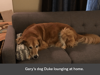 Duke