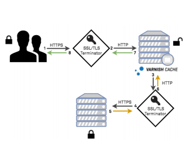 varnish-cache-https
